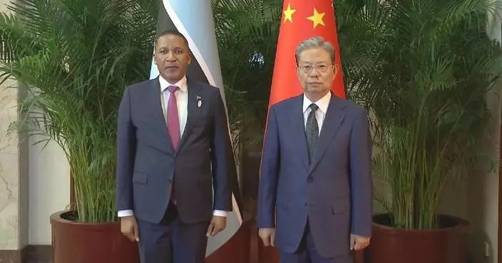 China's top legislator meets with Botswana president