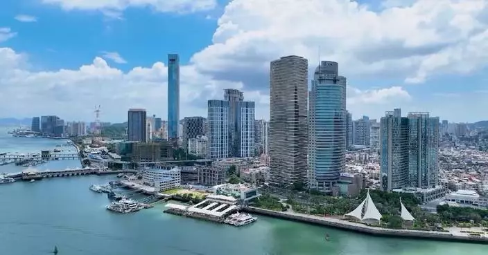 Foreign-invested firms' trade hits record high in first three quarters