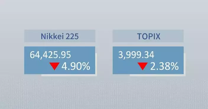 Japan's Nikkei suffers 3rd largest single-day point loss on AI, chip sell-off