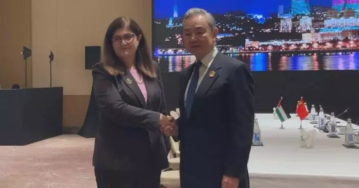 Chinese FM meets Palestinian counterpart