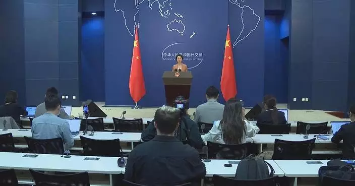 Regional conflicts should not divert int'l community's attention from Palestinian question: spokeswoman