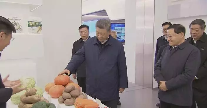 Xi stresses prioritizing ecological conservation, pursuing green development
