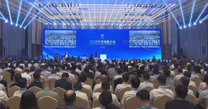 China has built complete industrial chain for energy storage: vice minister