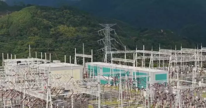 China's new-type energy storage industry turns market-driven