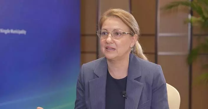 International Renewable Energy Agency head urges global cooperation in energy storage