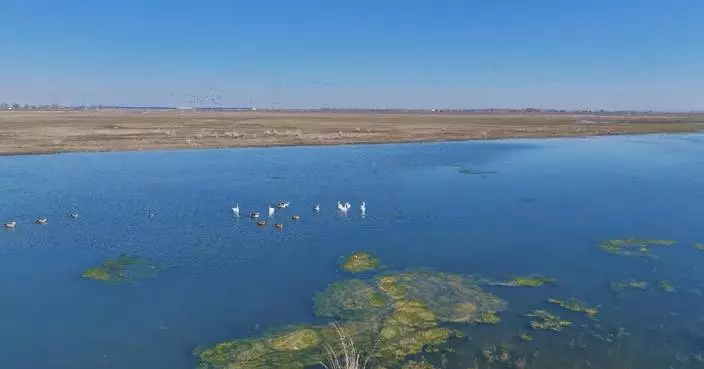 Inner Mongolia aims to further advance high-quality green development following Xi's inspection trip