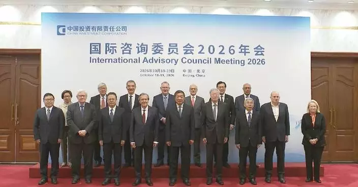 Chinese vice premier meets members of CIC int'l advisory committee