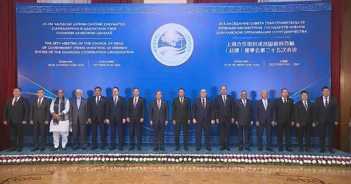 Chinese premier says SCO should promote regional stability, prosperity, contribute to global development