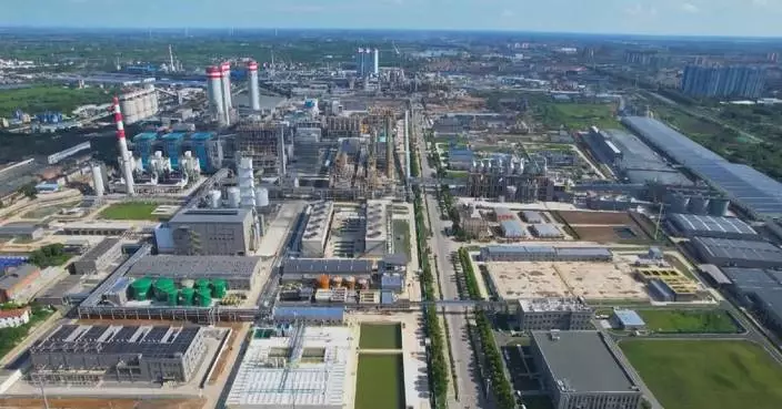 China's carbon market development enters fast growth phase: official