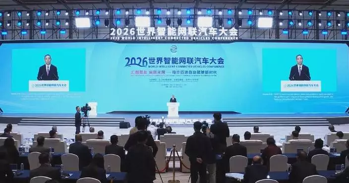 China's ICV sector sees new stage of large-scale application: official