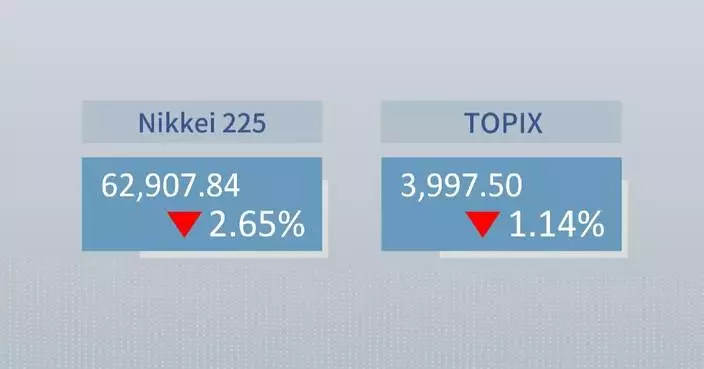 Tokyo stocks tumble on profit-taking, AI concerns