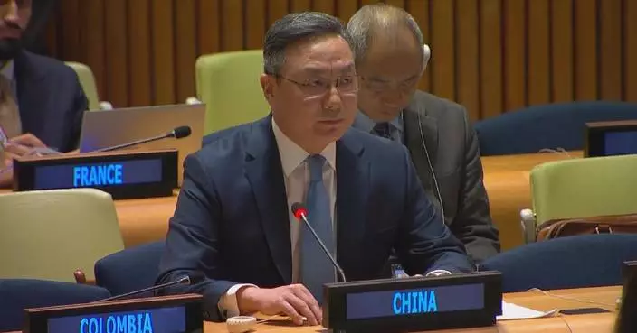 China urges int'l community to firmly uphold UN charter: envoy