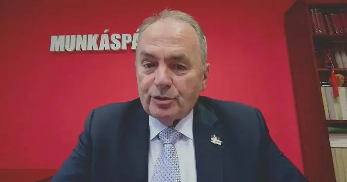 Hungarian politician hails significance of CPC's experience
