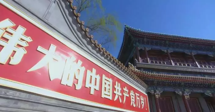 CPC's self-governance provides lessons for global parties: int'l observers