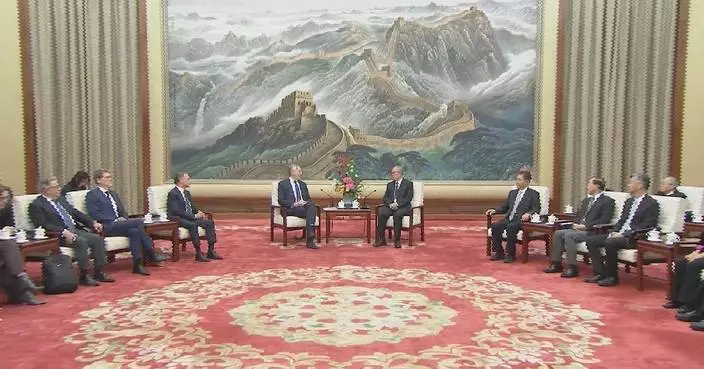 Senior Chinese legislator meets European Parliament trade committee delegation