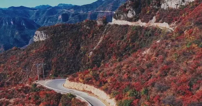 Perfect autumn colors unfold across Taihang Mountains in north China's Shanxi