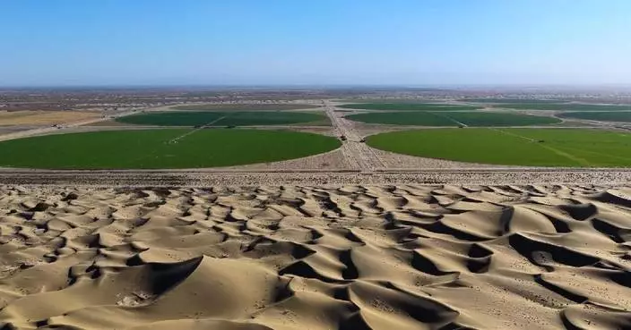 Young man brings green farmland to life to Xinjiang's desert