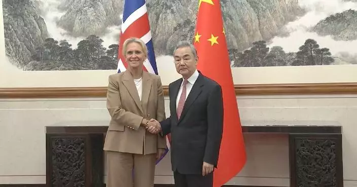 Chinese FM holds talks with Icelandic foreign minister