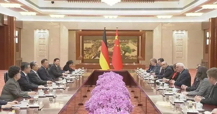 China's top legislator meets German president