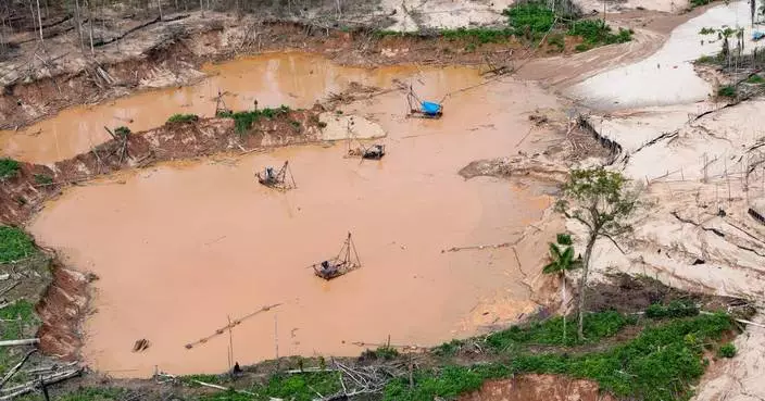 Human rights commission urges oversight of technology used in Latin American environmental crime
