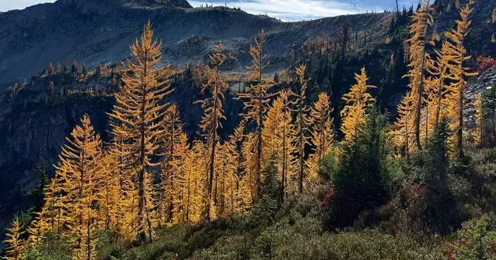 Agriculture secretary says agency is “full-bore ahead” on Forest Service reorganization