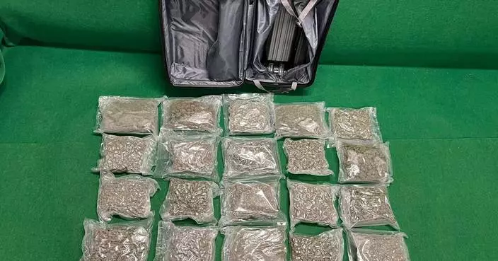 Hong Kong Customs Seizes 6kg of Cannabis, Arrests Two in Trafficking Case at Airport