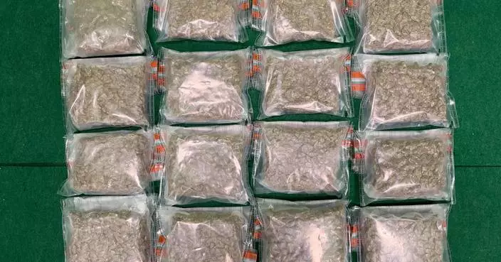 Hong Kong Customs Seizes 9.8kg of Cannabis in Drug Trafficking Arrests at Airport