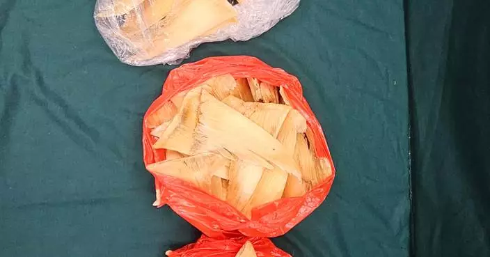 Hong Kong Customs Seizes 18kg of Endangered Shark Fins Worth $45,000 at Lo Wu Control Point
