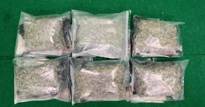 Hong Kong Customs Seizes About 8.8 kg of Suspected Cannabis Buds and 220 Duty-Not-Paid Cigarettes at Airport