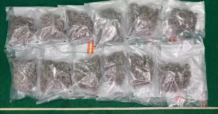 Hong Kong Customs Seizes About 3kg of Suspected Cannabis Buds at Airport, Arrests 56-Year-Old Male Passenger
