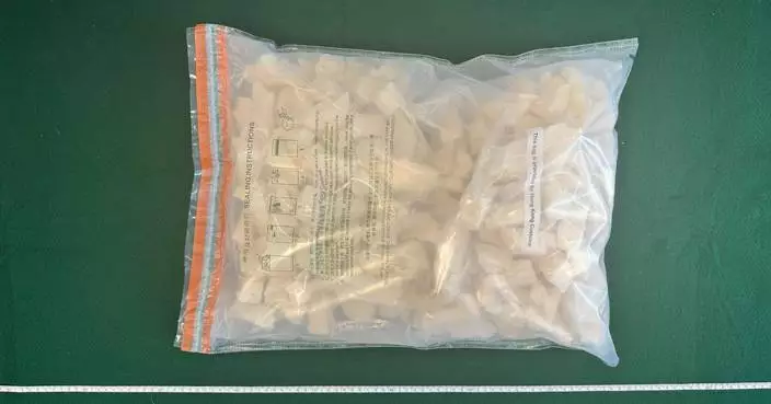 Hong Kong Customs Seizes 5.5kg Crack Cocaine, Arrests Passenger from Brazil