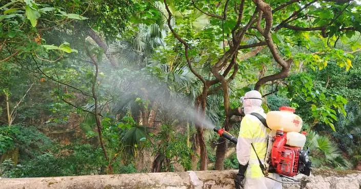 FEHD Releases October Gravidtrap and Density Indexes for Aedes Albopictus Across 33 Survey Areas.