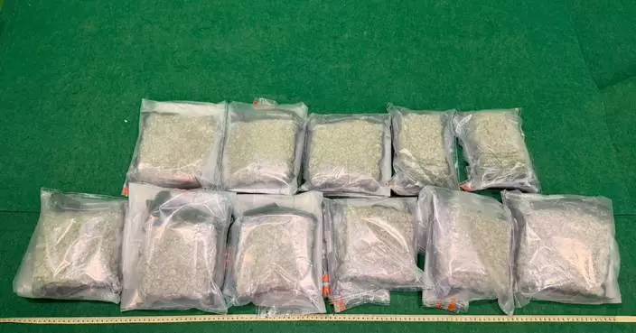 Hong Kong Customs Seizes 5kg of Cannabis, Arrests Passenger at Airport
