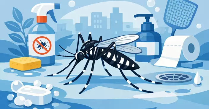 Mosquito Infestation Decreases in September, FEHD Reports Improved Control Efforts
