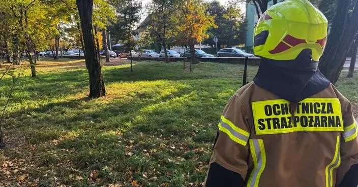 19-year-old student in Poland injures 8 people in a school attack