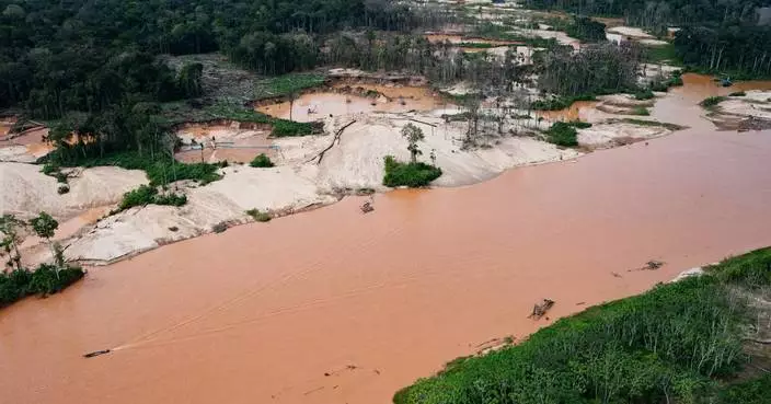 Interpol crackdown on illegal mining, logging and wildlife trafficking leads to 233 arrests