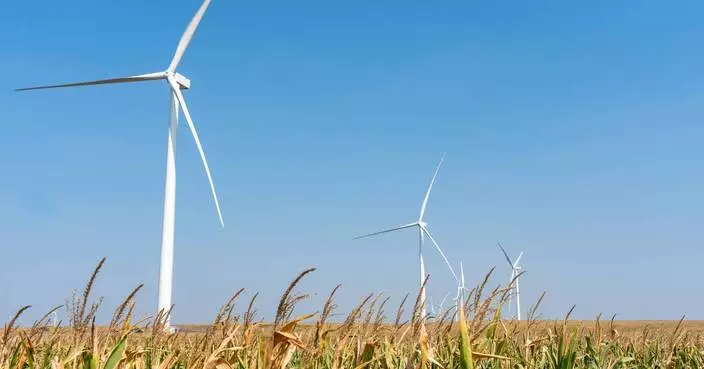 Cargill Expands Renewable Electricity Portfolio in the Central United States