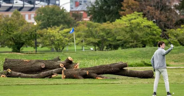 Park service could remove more than 500 trees at historic golf course Trump wants to redesign