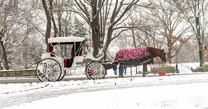 New York to ban Central Park's horse-drawn carriages after teen's death