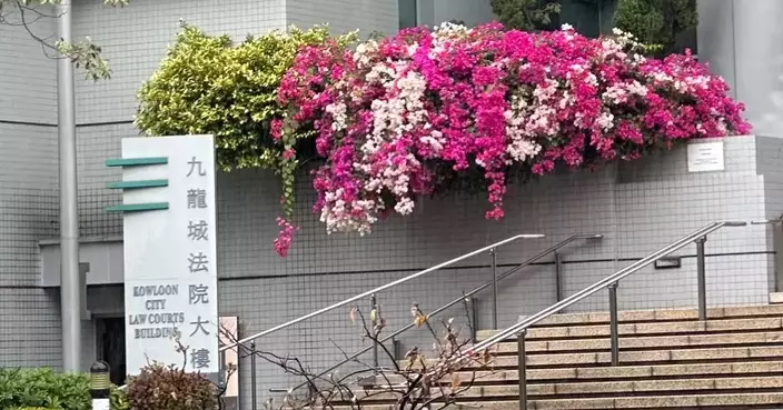 Four Property Owners Fined $116,160 in Total for Failing to Comply with Removal Orders