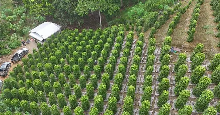 GI-Certified Sarawak Pepper Positioned for Greater Global Recognition