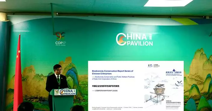 State Grid's Public Welfare Brands for Biodiversity Conservation Debut at UN Biodiversity Conference (COP17)