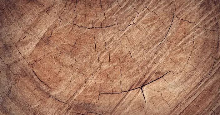 木材建材有何吸引之處及優點？