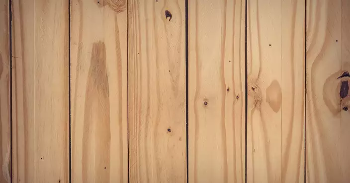 了解木材建材由認識木材開始!(1)