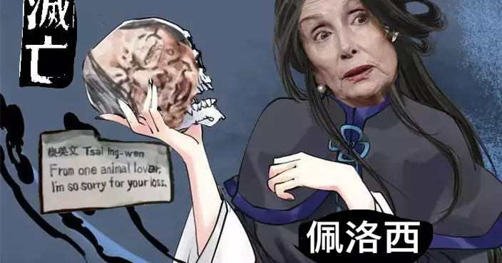 美國國會眾議長南希·佩洛西“竄臺” 不過是上演醜陋鬧劇