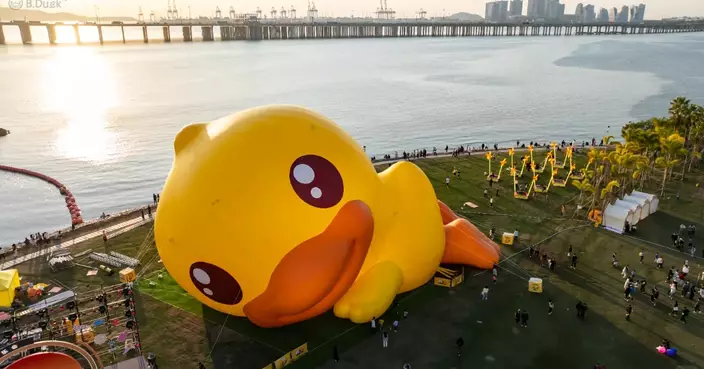 IP經濟崛起與小黃鴨德盈的突圍機會：下一個泡泡瑪特？