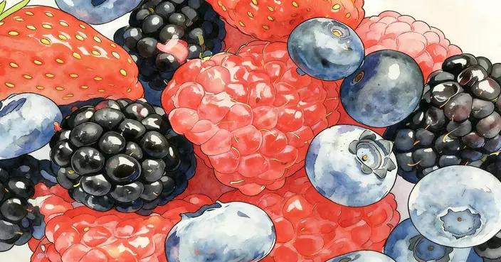 藍莓、蔓越莓係莓；香蕉、奇異果、青瓜都係莓？反而士多啤梨唔係莓？！