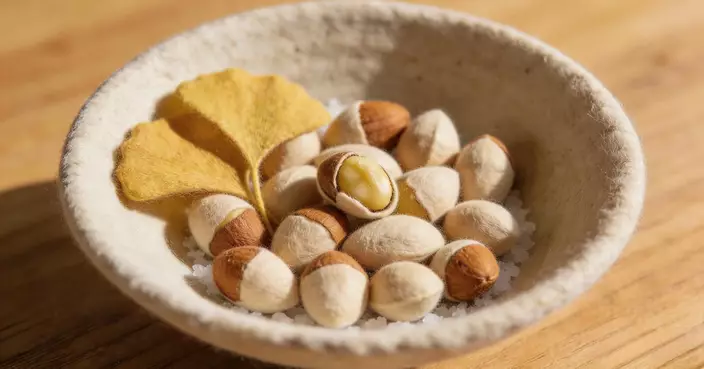 銀杏煮熟就安全？抑或是解酒神物!？