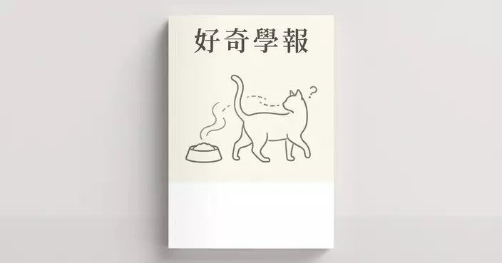 貓咪吃飯總剩一口？不是挑食發脾氣，科學發現真正原因...