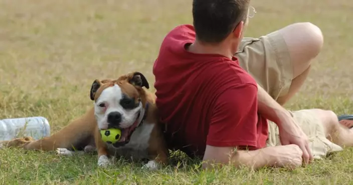 養狗請先認識狗狗的行為